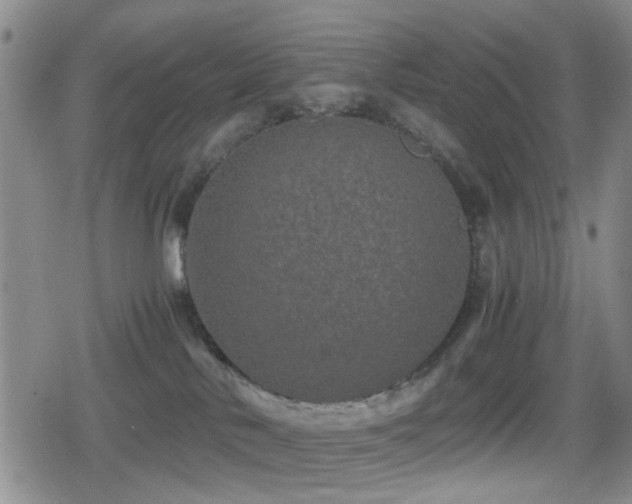 X0000080710042200612151145