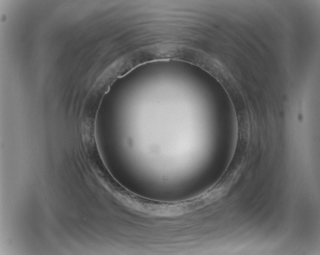 X0000080710044200612151145