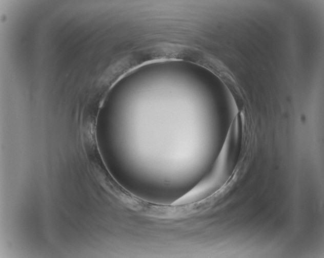 X0000080710045200612151145