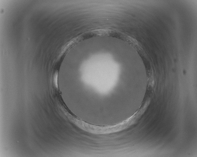 X0000080710047200612151145