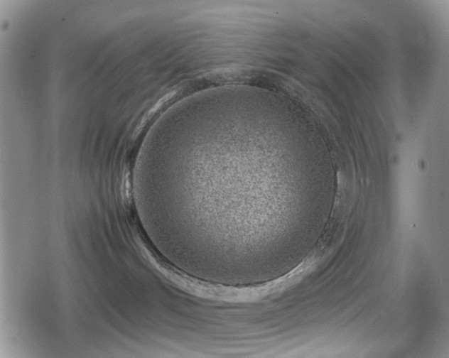 X0000080710048200612151145