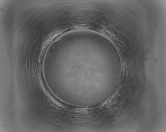 X0000080710049200612151144