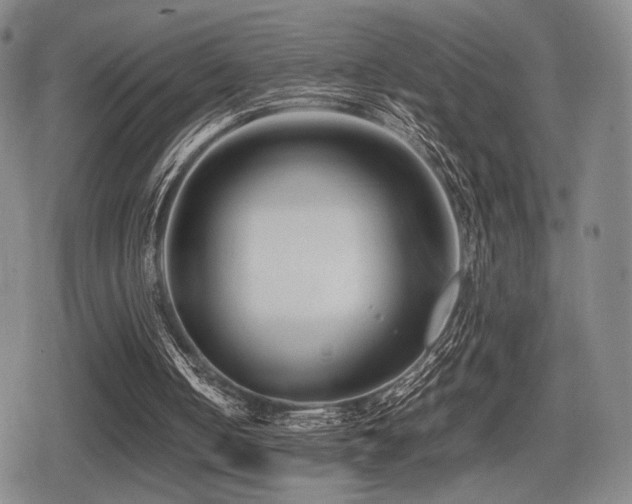 X0000080710050200612151144