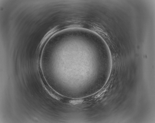 X0000080710051200612151144