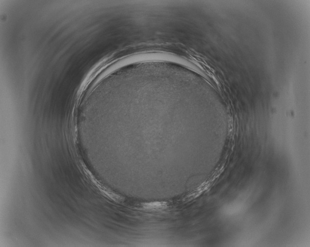 X0000080710053200612151144