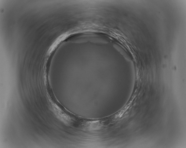 X0000080710054200612151144