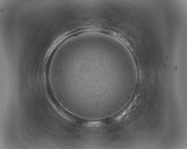 X0000080710055200612151144