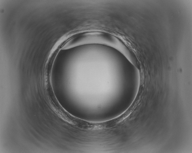 X0000080710056200612151144