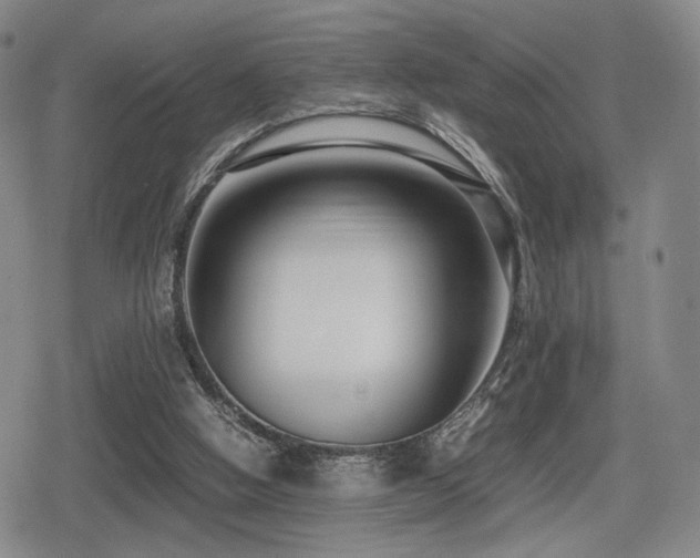 X0000080710058200612151144