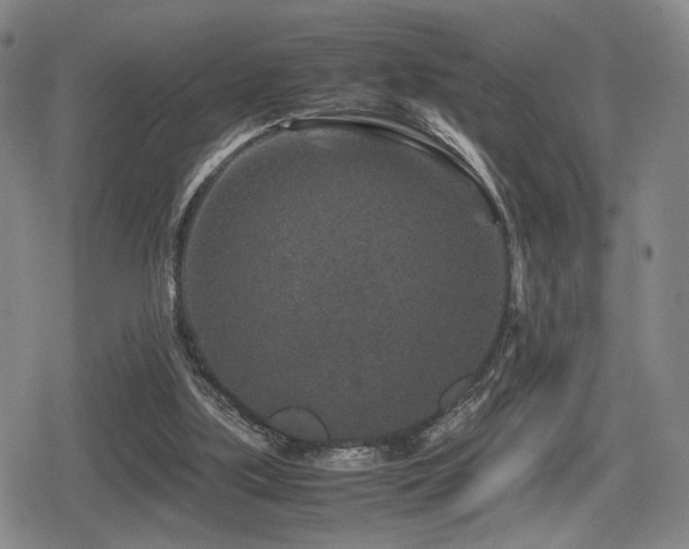 X0000080710059200612151144