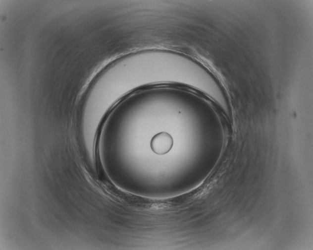 X0000080710060200612151144