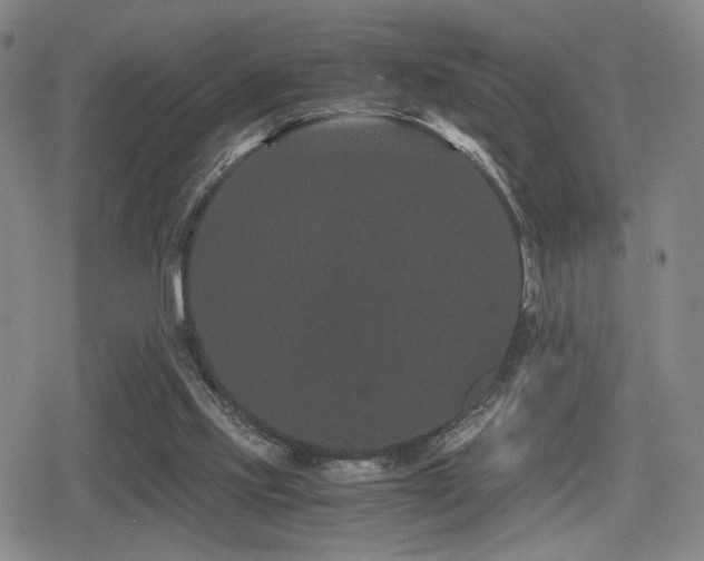 X0000080710061200612151144