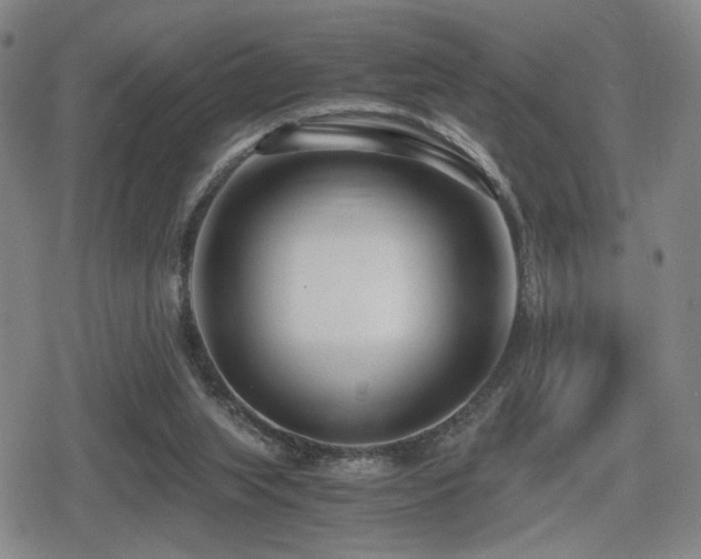 X0000080710063200612151144