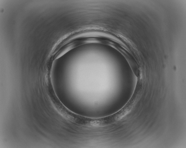 X0000080710064200612151144