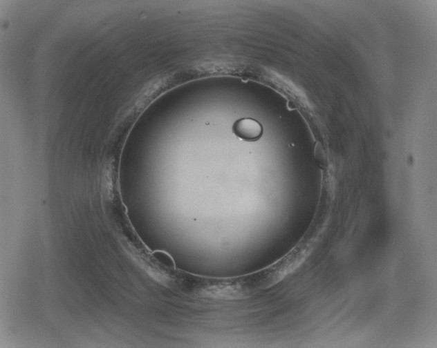 X0000080710065200612151144