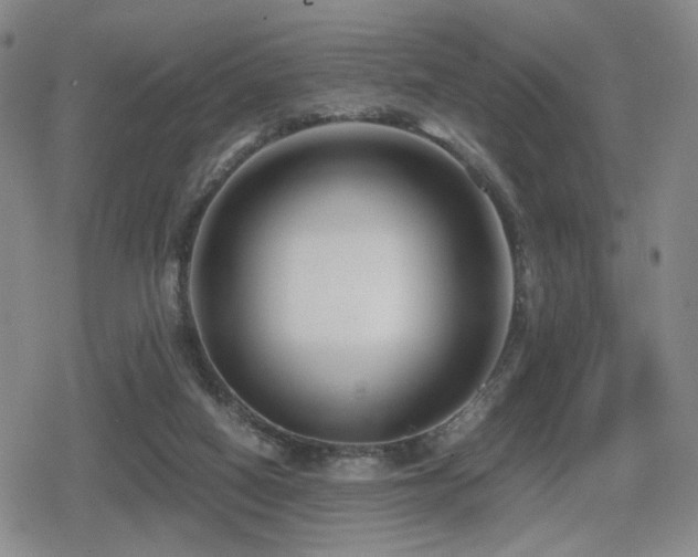 X0000080710066200612151144