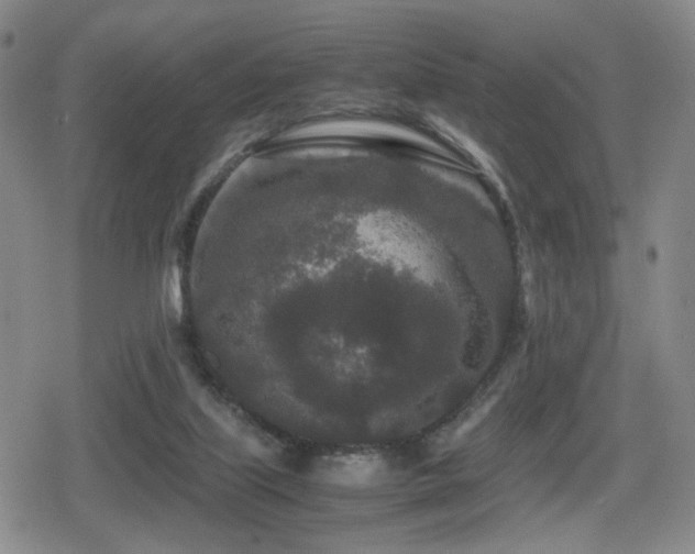 X0000080710067200612151144