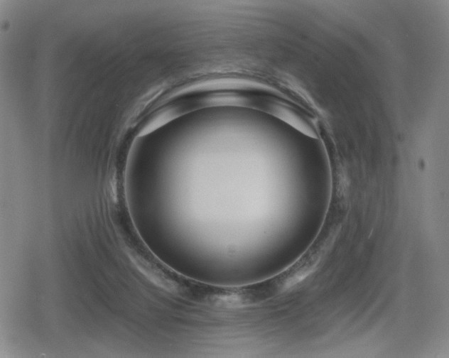 X0000080710068200612151144