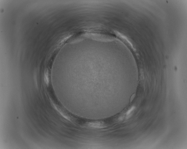 X0000080710069200612151144