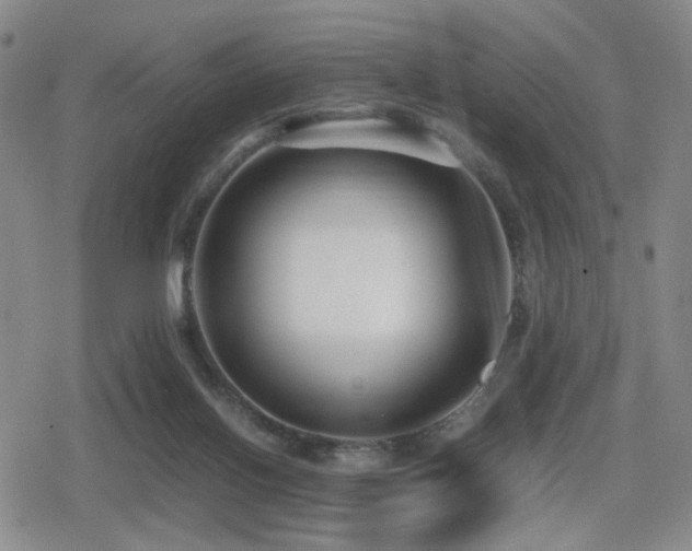 X0000080710070200612151144