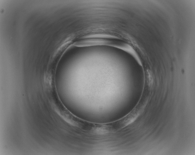 X0000080710072200612151144