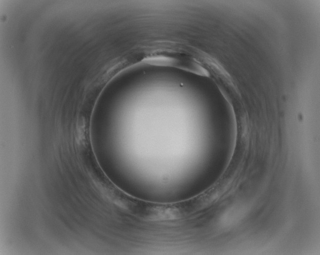 X0000080710073200612151144