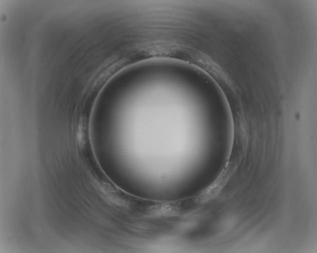 X0000080710074200612151144