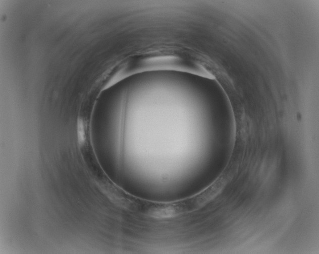 X0000080710075200612151144