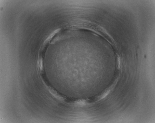 X0000080710076200612151144