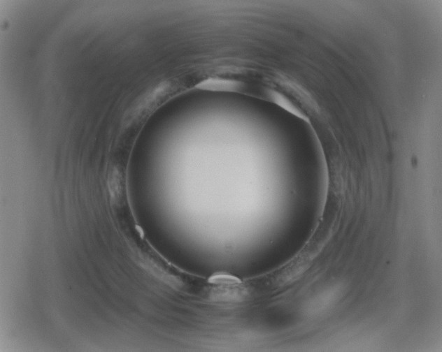 X0000080710077200612151144