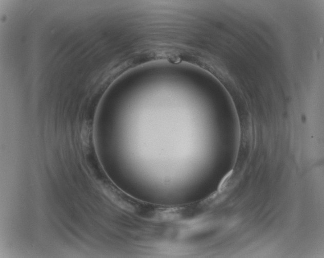 X0000080710078200612151144