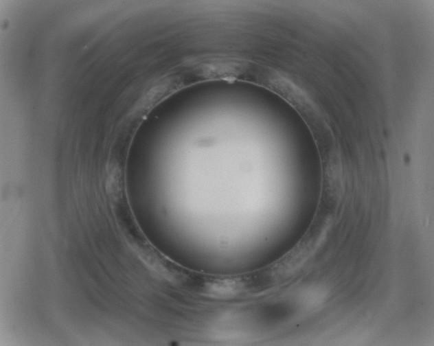 X0000080710079200612151144