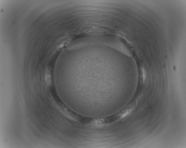 X0000080710080200612151144