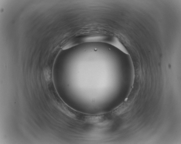 X0000080710081200612151144