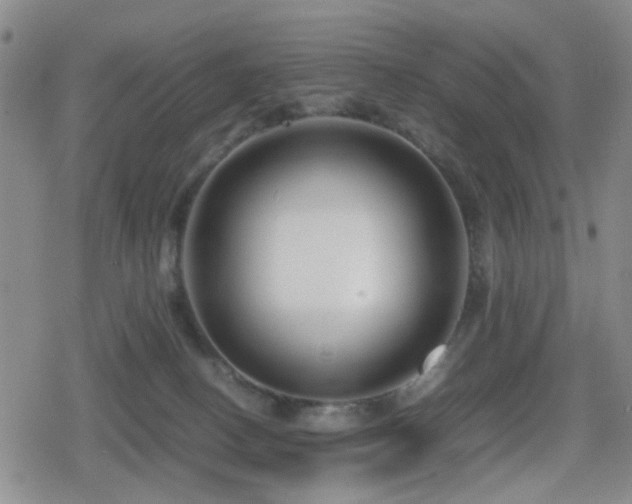 X0000080710082200612151144