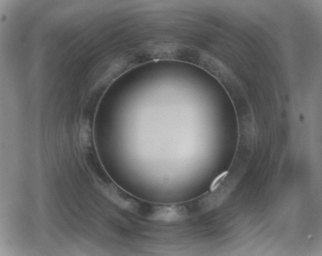 X0000080710083200612151144