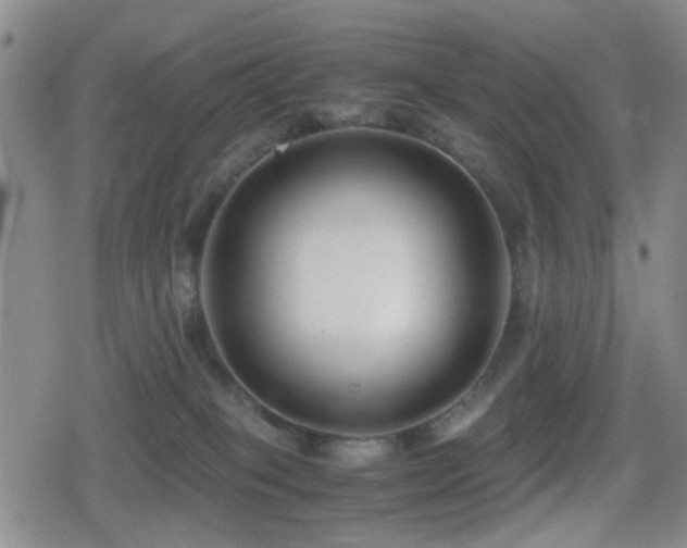 X0000080710085200612151144