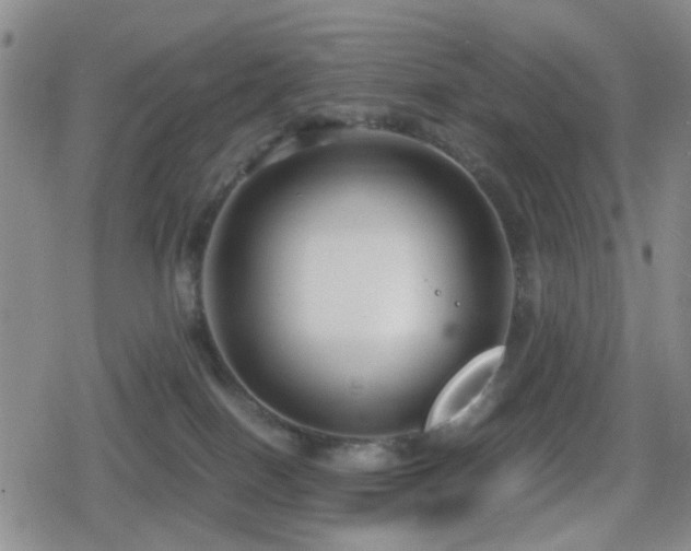 X0000080710086200612151144