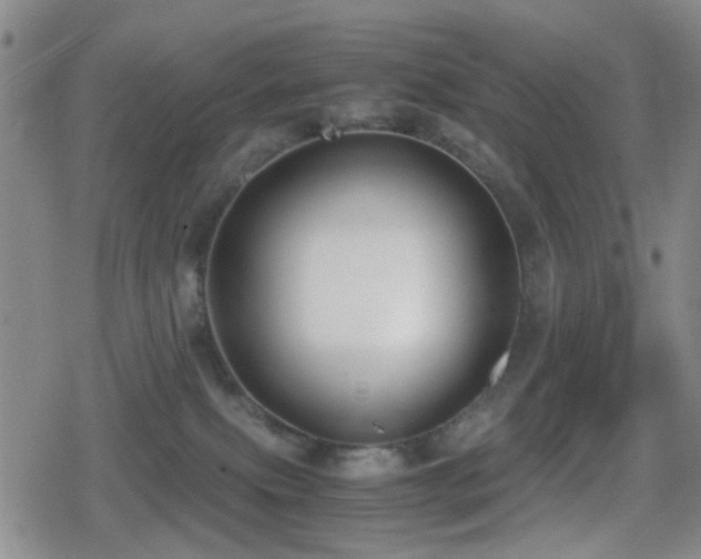 X0000080710087200612151144