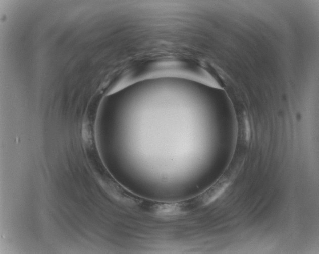 X0000080710088200612151144