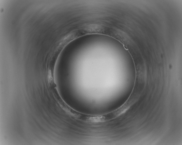 X0000080710089200612151144