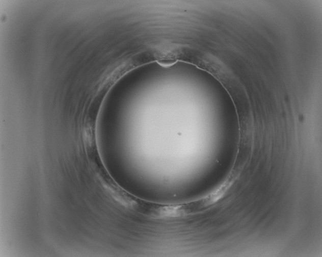 X0000080710090200612151144