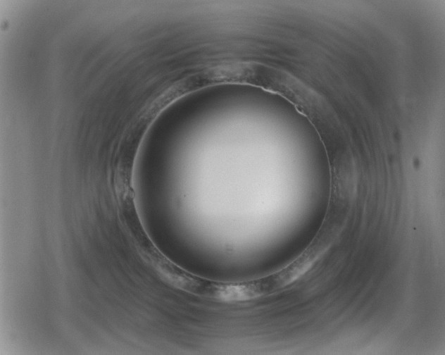 X0000080710091200612151144