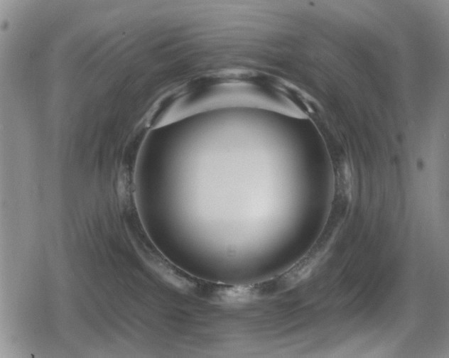 X0000080710092200612151145