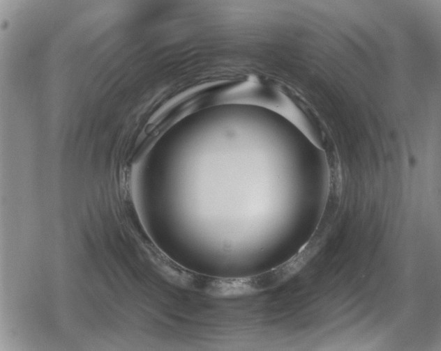 X0000080710093200612151145