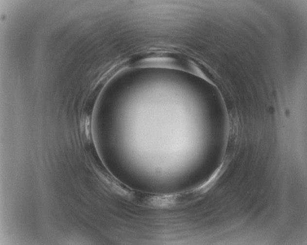 X0000080710094200612151145