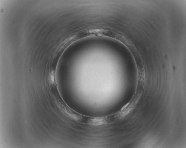 X0000080710095200612151145