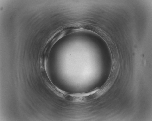 X0000080710096200612151145