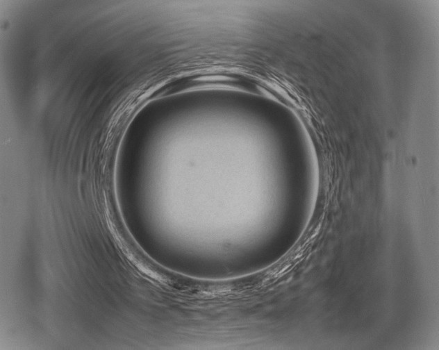 X0000080710097200612151144