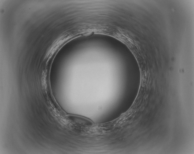 X0000080710098200612151144